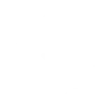 badge icon