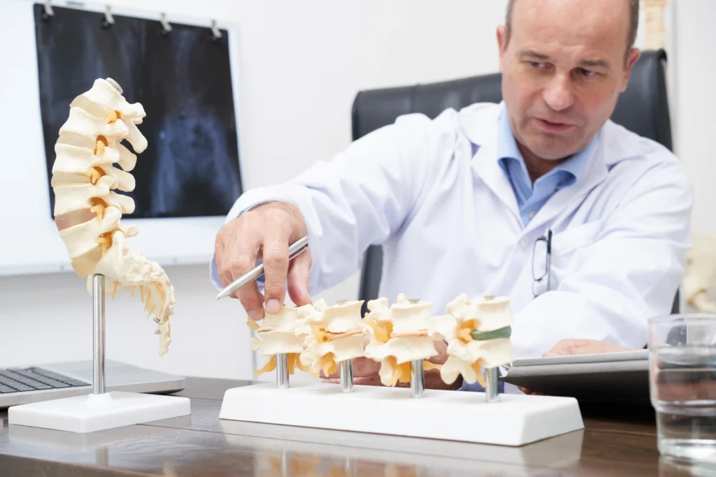A healthcare professional demonstrates spinal anatomy using models, with a computer and glass of water on the desk. X-rays are on display in the background.
